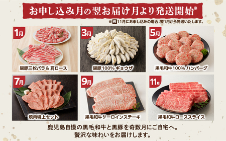 【全6回】「 肉のヨコムラ 」鹿児島県産 黒毛和牛 ・ 黒豚 定期便 （奇数月にお届け） K189-T01 肉 豚肉 牛肉 冷凍