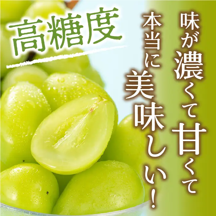 【2026年発送★先行予約】笛吹市産　シャインマスカット　約1.5kg（2～4房）205-007ｰ26y