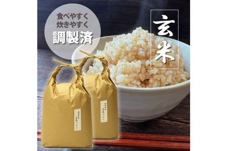 米 令和7年 元気つくし 玄米 5kg × 2袋 計 10kg [ベネフィス 福岡県 筑紫野市 21760853]
