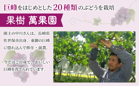 【萬果園】巨峰ジュース100％　1L　2本セット｜長野県 東御市 信州 巨峰 100％ ぶどう 1l 2本ギフト プレゼント 手土産 瓶