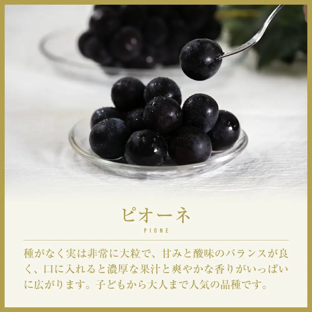 【2026年発送★先行予約】山梨県笛吹市産　旬の採れたてピオーネ　約1kg　2～3房 105-014-26y