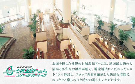 温泉 七城温泉ドーム 入浴券12枚綴り《30日以内に出荷予定(土日祝除く)》入浴券 チケット 温泉 熊本県 菊池市 七城温泉ドーム 送料無料
