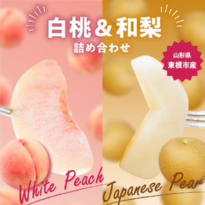 【2026年産】東根産 白桃&和梨詰め合わせ3kg秀品 桃 梨 和梨