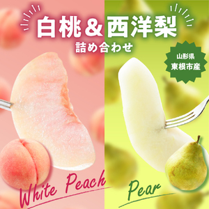 【2026年産】東根産 白桃&西洋梨詰め合わせ3kg秀品 桃 西洋梨