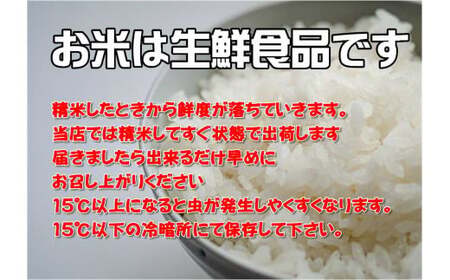 【令和7年産】岩手県産ひとめぼれ3kg 【1818】