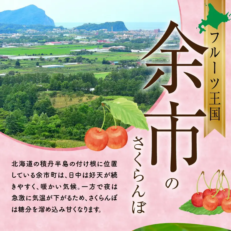 2026年発送【先行予約】令和8年産 南陽【3Lサイズ】500g×2【ニトリ観光果樹園】余市 北海道 フルーツ王国 さくらんぼ サクランボ 桜桃 南陽 余市産さくらんぼ 人気さくらんぼ ニトリ_Y074-0142