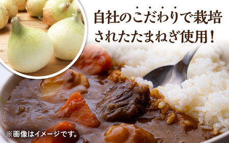 【3回定期便】薬膳スパイスチキンカレー 4食 /自然庵 [UCQ004] カレー