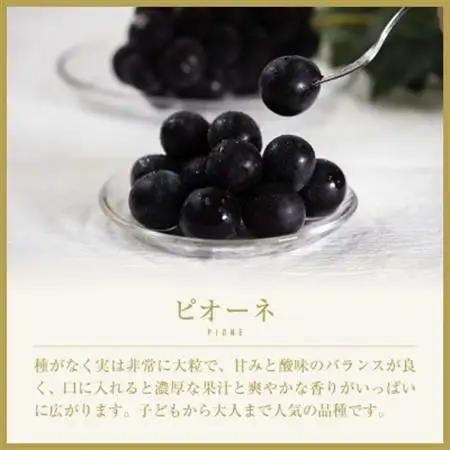 【2026年発送】山梨県山梨市産　旬の採れたてピオーネ　約1kg　2～3房【配送不可地域：離島】【1459463】