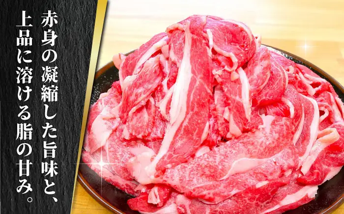 あか牛 切り落とし 1kg（ 500g × 2個 ）【有限会社 三協畜産】牛肉 肉 切り落とし肉 [ZEB100]
