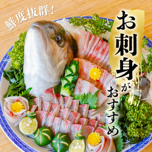 カンパチ 神経締め 3～3.5kg 1尾 かんぱち 勘八 鮮魚 産地直送 冷蔵 養殖 国産