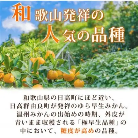 【2026年10月中旬以降より発送】紀州和歌山有田産ゆら早生みかん　10kg【日高町】【1216963】