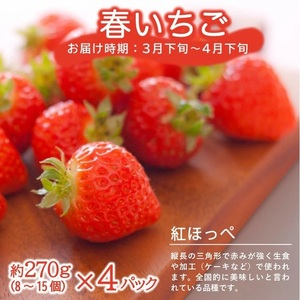 SE0463　【3回定期便】農家直送 こだわりのフルーツ定期便2026 (いちご、庄内メロン、いちじく)