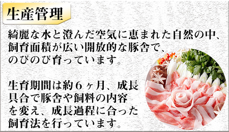 ヤマトポーク　ローススライス　しゃぶしゃぶ用 800g ／ 豚肉 豚ロース 豚しゃぶ ヤマトポーク 奈良県 広陵町×曽爾村特産品連携協定共通返礼品