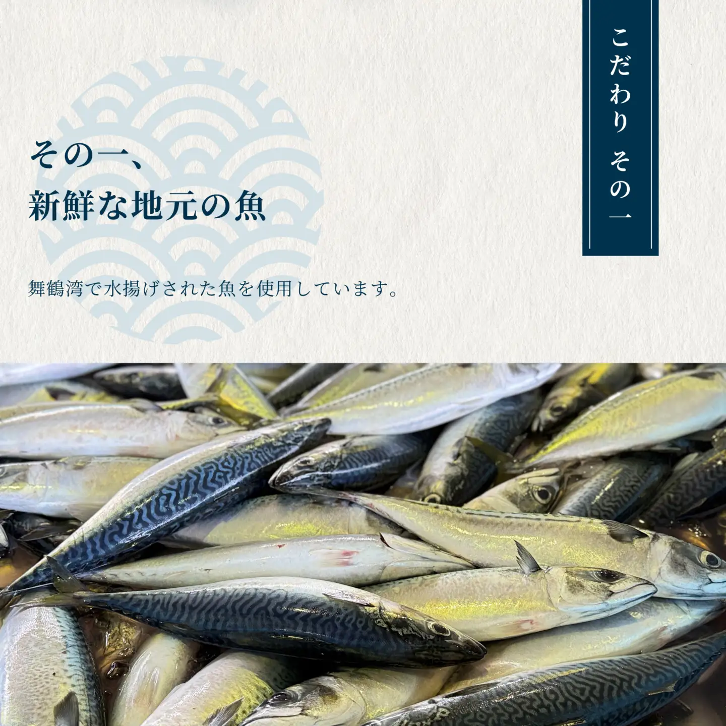 【訳あり】 干物 約2.8kg 詰め合わせ 干物