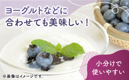 先行予約 大粒 ブルーベリー 約500g（約250g×2pc） 【すみれファーム】果物 フルーツ くだもの 生ブルーベリー 大粒 小分け 熊本県産 [ZEP001]