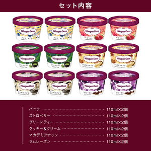 【着日指定できます】ハーゲンダッツ 『ミニカップ12個(定番＆ラムレーズン)』  アイス アイスクリーム_H0016-113
