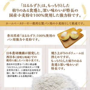 パン用 強力小麦粉「はるみずき」25kg | 小麦粉