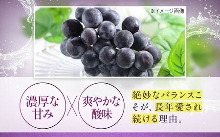 【先行予約】巨峰 約2kg1箱（4房から6房） BKCW003