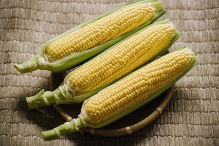 2026年夏のご予約受付開始！ 信濃町名産とうもろこし『ファームかずとのゴールドラッシュ 10本セット』粒皮が薄く生でも食べられる、フルーツを凌ぐほどの甘いとうもろこし 朝採れを農場から直送　令和8年7月下旬～8月下旬出荷分 先行予約【長野県信濃町ふるさと納税】