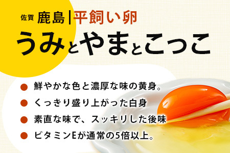 【定期便 2回】平飼い卵「うみとやまとこっこ」上田養鶏場 たまご40個 × 2ヶ月【合計80個】佐賀県鹿島産 卵 タマゴ D-200