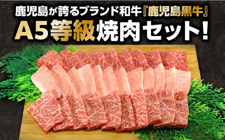 「 JA の お肉屋さん 」A5等級！鹿児島黒牛 焼肉セット（ 計900g ） K234-001 肉 牛肉 冷凍