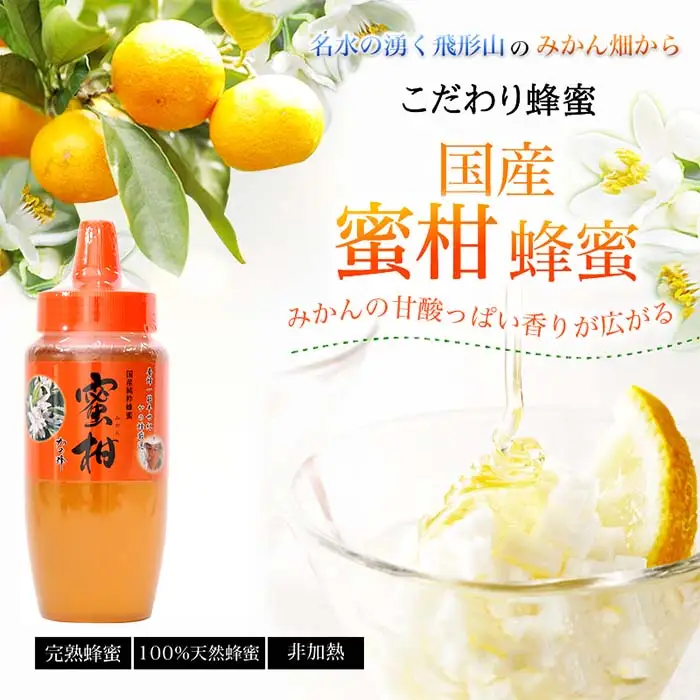 【全3回】 定期便 かの蜂 国産 みかん蜂蜜 合計1.5kg（とんがり容器500gを毎月1本お届け） 024-T016