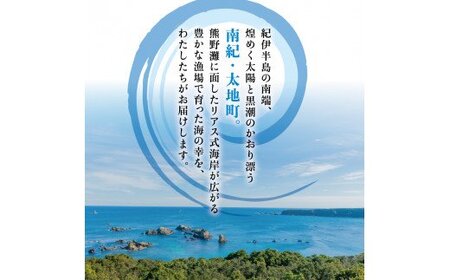 干物セット 満足の内容量！さんまの開き10枚セット ／ ひもの 詰め合わせ 干物 さんま サンマ【sio116】