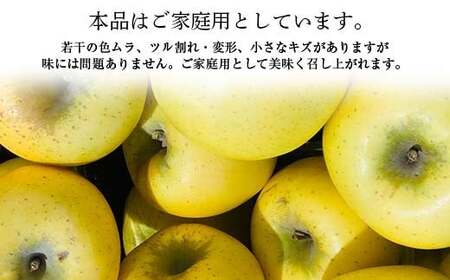 【先行予約 2026年度発送】♪フルーツ王国山形♪ シナノゴールド ご家庭用 5kg りんご リンゴ 林檎 デザート フルーツ 果物 くだもの 果実 食品 山形県 FSY-2634