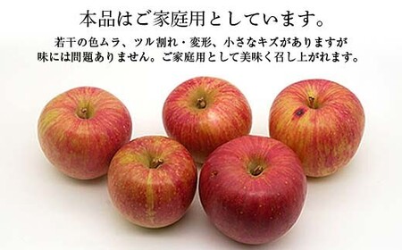 【先行予約 2026年度発送】♪フルーツ王国山形♪ サンふじりんご ご家庭用 5kg りんご リンゴ 林檎 デザート フルーツ 果物 くだもの 果実 食品 山形県 FSY-2711