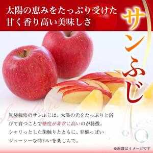 【先行予約 2026年度発送】♪フルーツ王国山形♪ 早生サンふじりんご 秀品 5kg りんご リンゴ 林檎 デザート フルーツ 果物 くだもの 果実 食品 山形県 FSY-2559