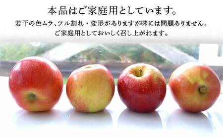 【先行予約 2026年度発送】♪フルーツ王国山形♪ 早生サンふじりんご ご家庭用 5kg りんご リンゴ 林檎 デザート フルーツ 果物 くだもの 果実 食品 山形県 FSY-2560
