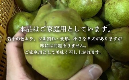 【先行予約 2026年度発送】♪フルーツ王国山形♪ラ・フランス なし ナシ 梨 デザート フルーツ 果物 くだもの 果実 食品 山形県 FSY-2712