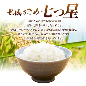 令和7年産 七城のこめ 特選米 七つ星 精米 ヒノヒカリ ひのひかり 10kg 有限会社七城町特産品センター《30日以内に出荷予定(土日祝を除く)》 熊本県 菊池市 お米 米 白米 九州産 熊本県産