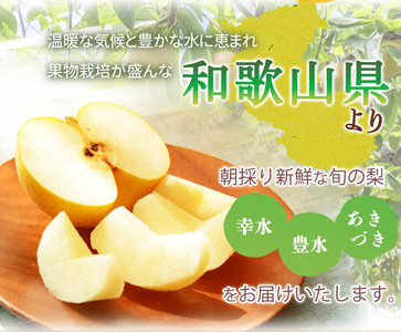 梨 約2kg 化粧箱入 紀州和歌山 かつらぎ産【2026年8月中旬頃～2026年9月上旬頃に順次発送予定】【UT103】【Z91107-uot788】