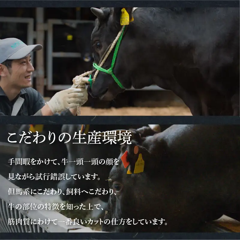 近江牛 ロース ステーキ 3枚（合計510g）