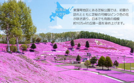 【先行予約】レタス彩（いろどり）3種セット（2026年9月以降順次発送）  OSU003