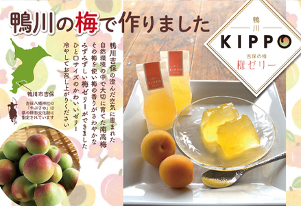 【鴨川吉保梅の里の南高梅】吉保の梅ゼリー 12個入り×３箱 [0010-0297]