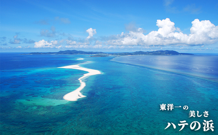 【久米島町】しろくまツアーで利用可能 WEB旅行クーポン(4万5千円分）