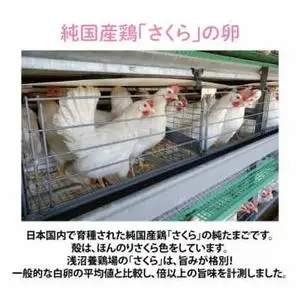 【卵】純国産鶏【さくらともみじ】純たまご 30個入り (AJ031) 鶏卵 食べ比べセット