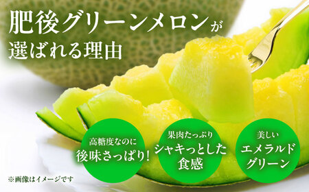 肥後グリーンメロン&小玉すいか各1玉熊本メロンスイカZCN004