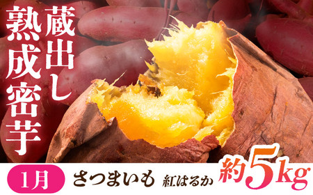 【先行予約】【3回定期便】 ほっこり幸せ！熊本・山鹿のあま〜い冬支度　熟成芋と旬のフルーツ [ZZZ001]   さつまいも みかん いちご