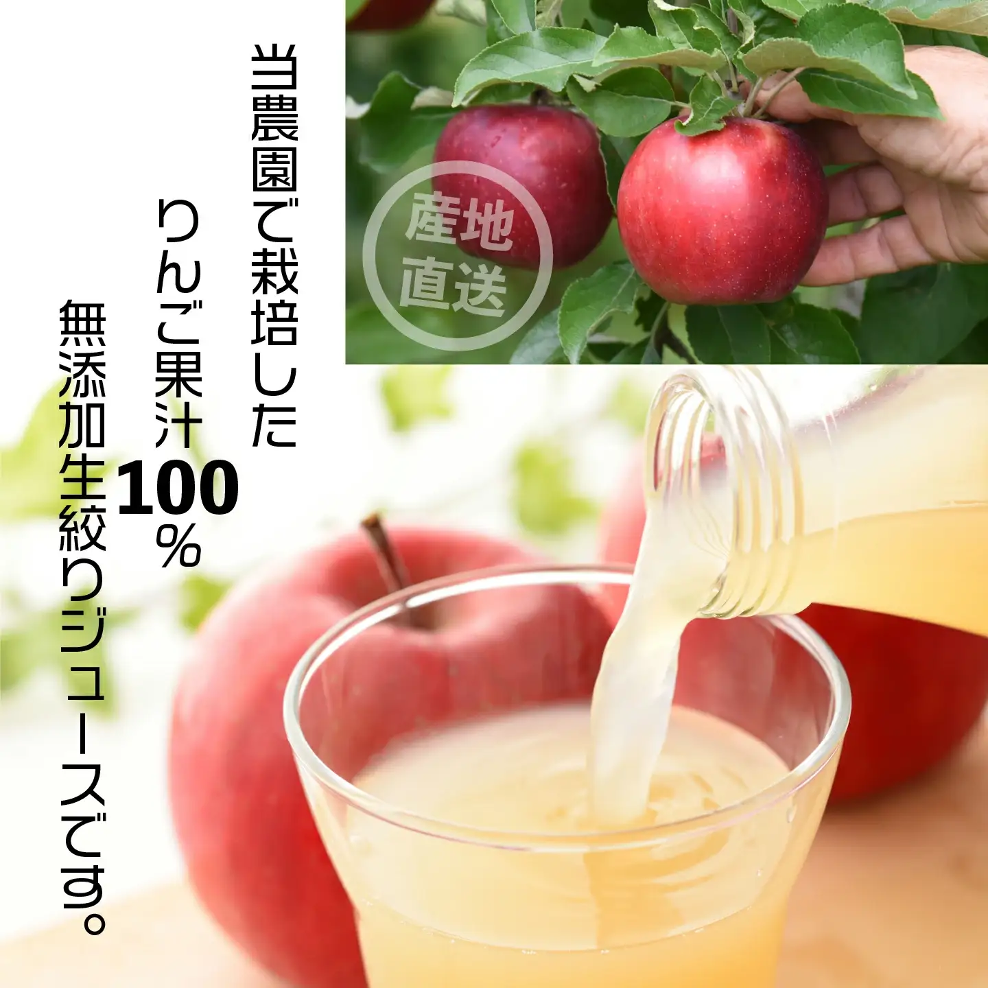 りんごジュース　無添加りんごジュース雪越しの濃いしぼり720ml　スッキリタイプ1000ml　各１本　計２本　ミックス箱　セット　ギフト　人気　お土産　飲み比べ　グルメ【07208-0199】