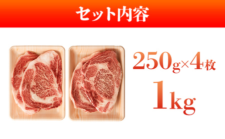 博多和牛サーロインステーキセット　1kg（250g×4枚） お取り寄せグルメ お取り寄せ 福岡 お土産 九州 福岡土産 取り寄せ グルメ 福岡県