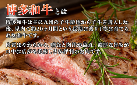 【厳選部位】博多和牛サーロインステーキ　250g（250g×1枚） お取り寄せグルメ お取り寄せ 福岡 お土産 九州 福岡土産 取り寄せ グルメ 福岡県