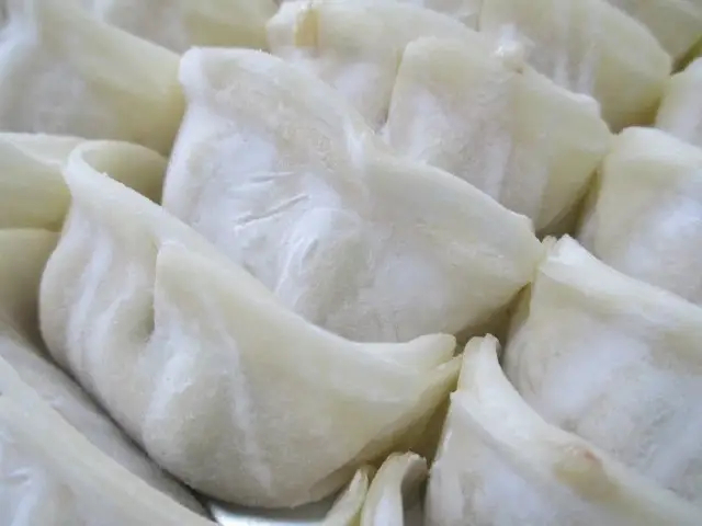 ヒマラヤ岩塩入り生しょうが餃子(22g×50個)　【07208-0283】