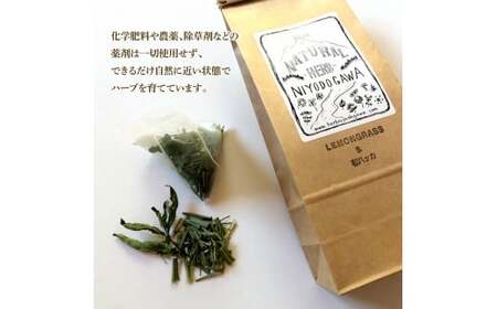 【3回定期便】ハーブ仁淀川産 自然栽培ハーブ レモングラス＆和ハッカブレンド ハーブティー ティーバッグタイプ 2個セット 7袋入り×2個 定期便 定期コース 全3回【ハーブ仁淀川】 [BQBO038]