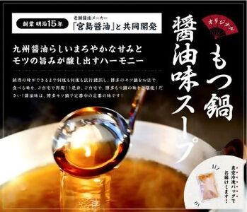 博多醤油もつ鍋3～4人前セット[H0094]