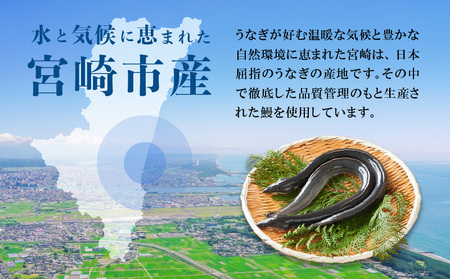 うなぎ 国産 蒲焼 3尾 うなぎ[660g]