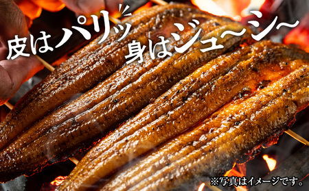 うなぎ 蒲焼・白焼き うなぎ[国産 各2尾]