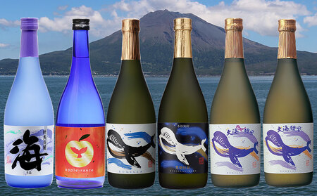 D4-25109／大海酒造こだわり焼酎 720ml 6本セット